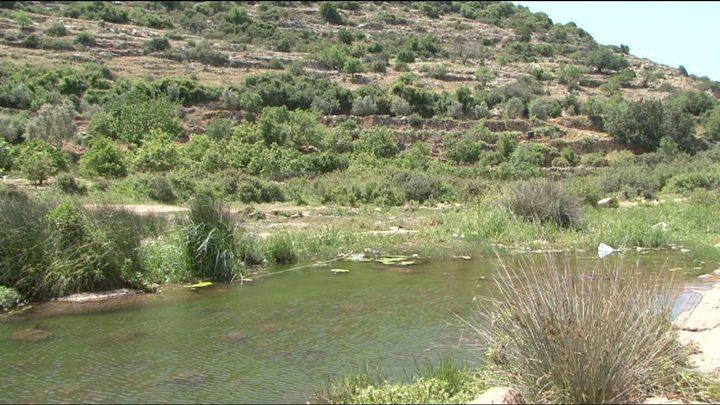 المحميات الطبيعية الفلسطينية في دائرة الاستهداف لفائدة مخططات الاستيطان والضم الزاحف