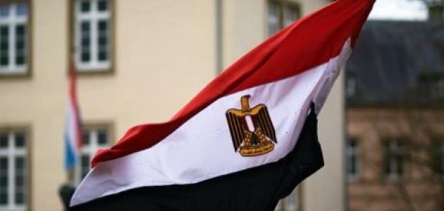 نداء الوطن - مصر تؤكد مجددا دعوتها لوقف العدون الاسرائيلي على غزة...تفاصيل