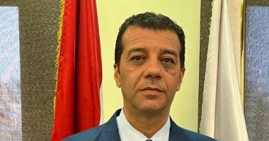 مصر: الهيئة الوطنية للانتخابات تحدد موعد توقف الحملة الإنتخابية
