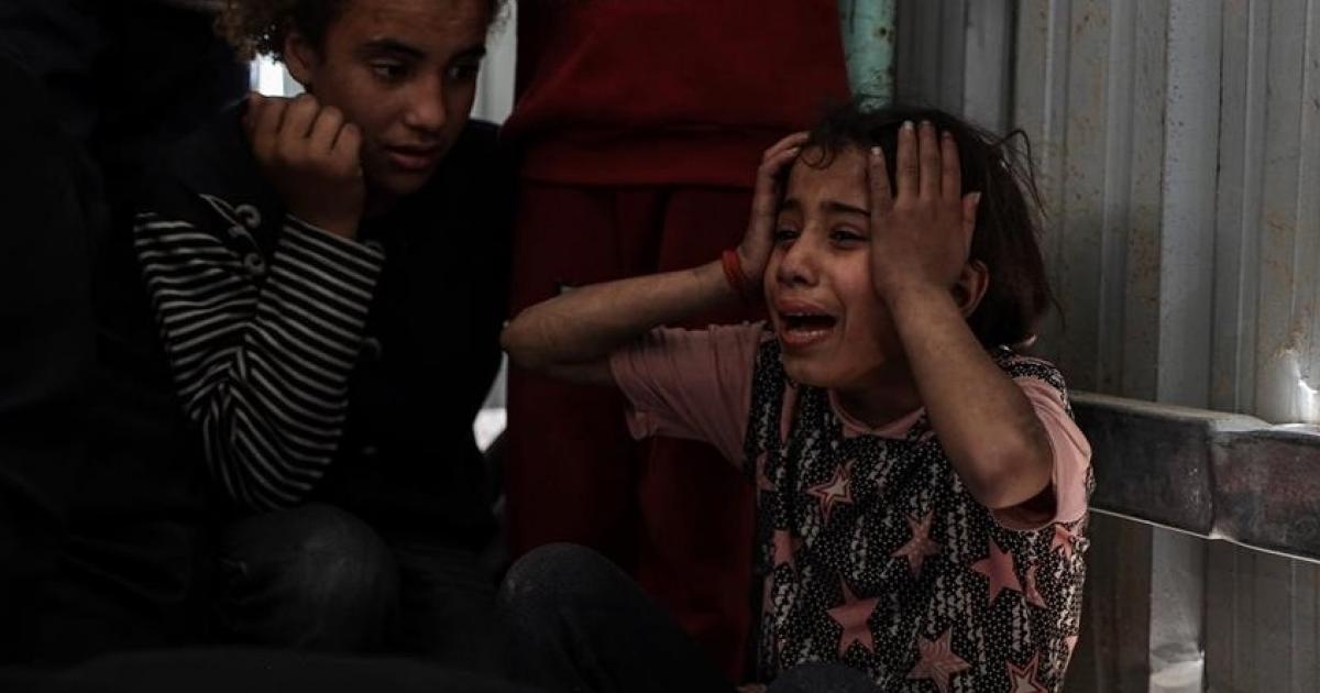 نداء الوطن - اطفال غزة