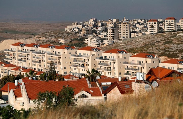 نداء الوطن -