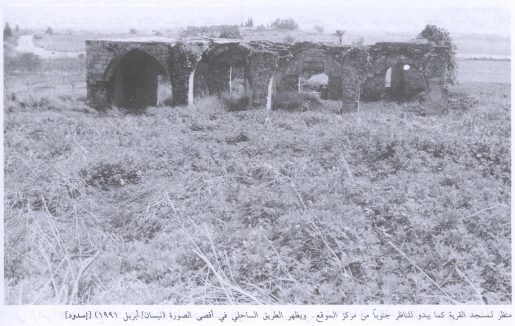 قرية أسدود