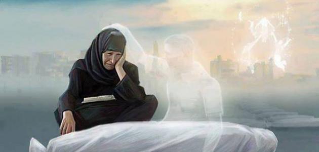 الحياة بعد الموت بين الواقع والخيال الحياة بعد الموت بين الواقع والخيال