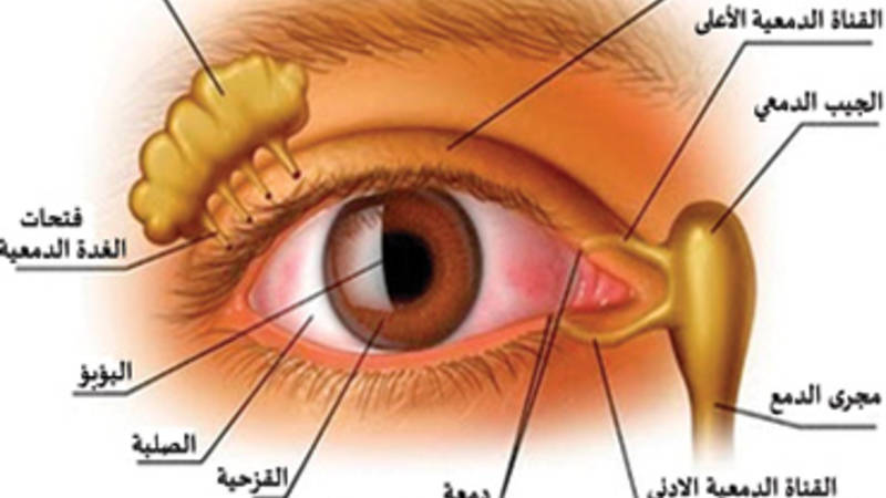 جفاف العين الاعراض وطرق العلاج