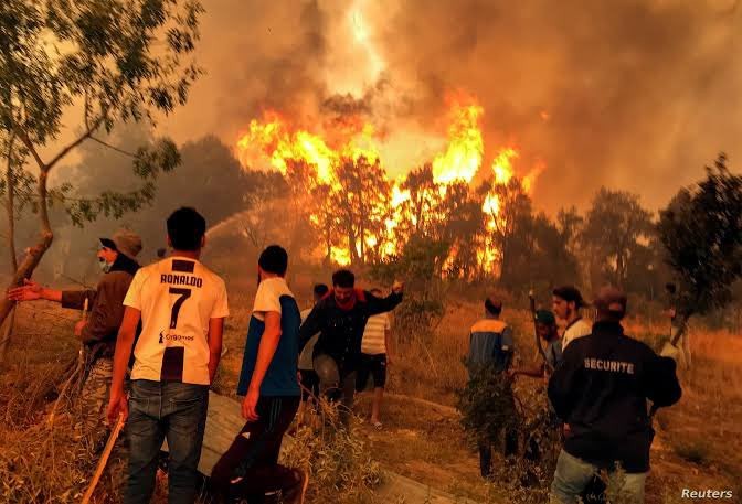 الجزائر : 26 مواطن قضوا حرقاً بسبب حرائق الغابات ... تفاصيل